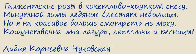 ����� ��������� ���������. ����������� ���� � ���������-������� �����