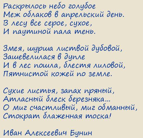 ���� ���������� �����. ���������� ���� �������