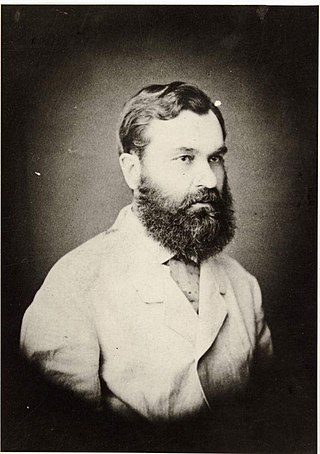 ϸ�� ���������� �������� � ����