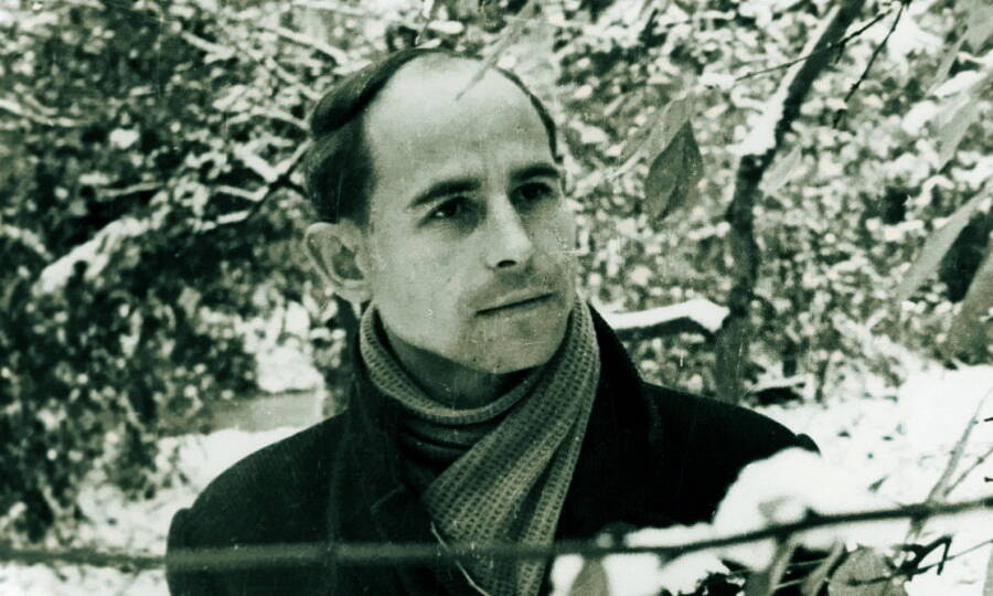 ������� ���������� ������. 1960-� ����